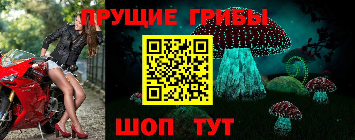 Брянск  Псилоцибиновые грибы прущие грибы  Галлюциногенные грибы прущие грибы  Вход с VPN 